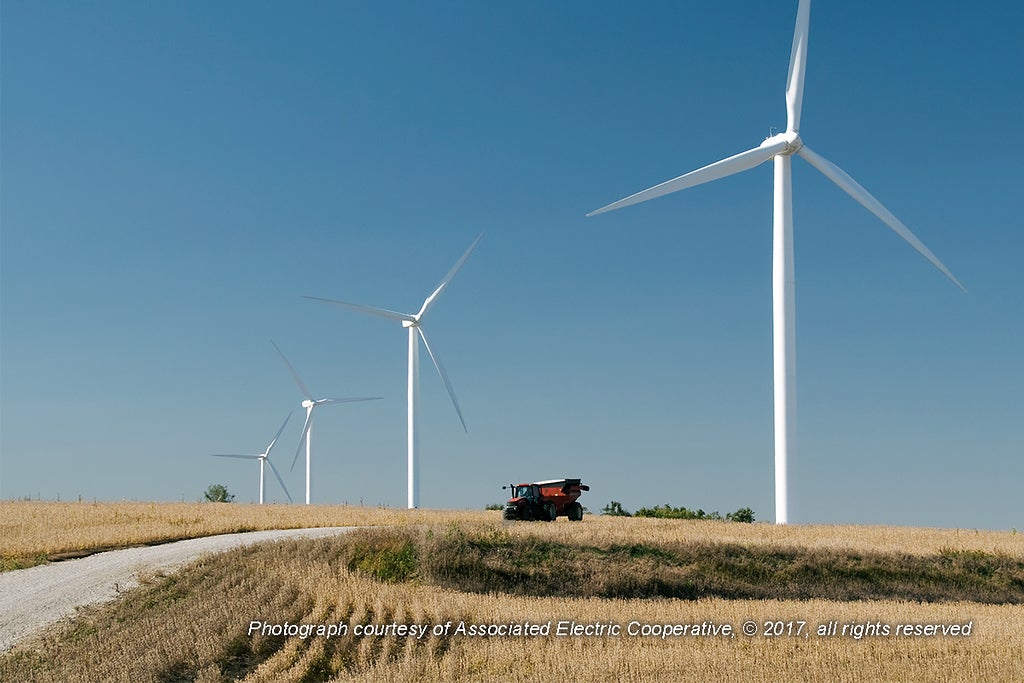 cow branch wind.jpg